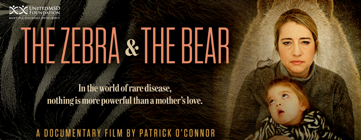 The Zebra & The Bear Film Screening